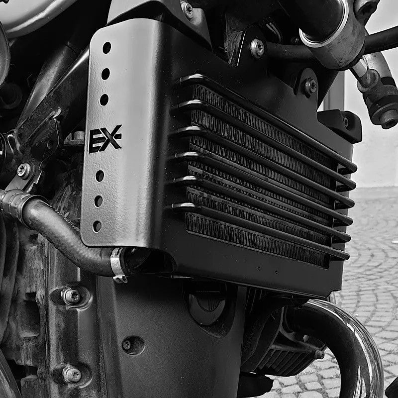 Protection de radiateur d'huile Legend EX Motorcycles pour BMW R Nine T 2