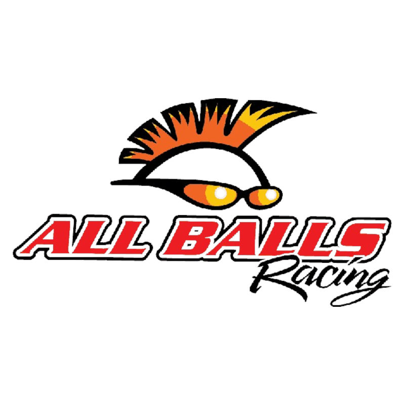 Logo ALL Balls Racing Nine T Store