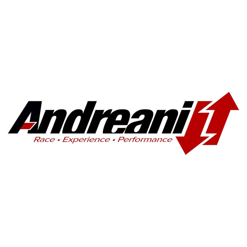 Logo Andreani Nine T Store