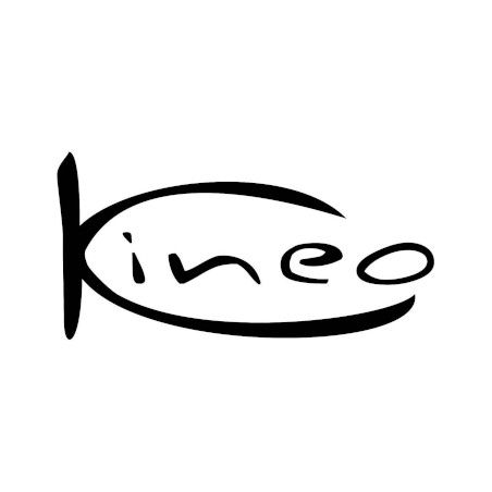 Logo Kineo Nine T Store