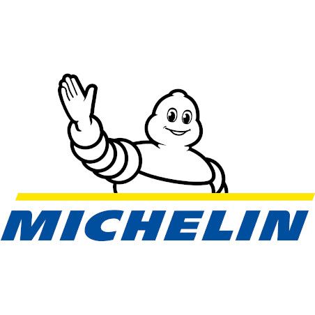 Logo Michelin NIne T Store