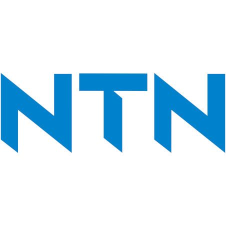 Logo NTN NIne T Store