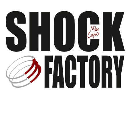 Logo Shock Factory Nine T Store