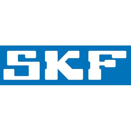 Logo SKF Nine T Store