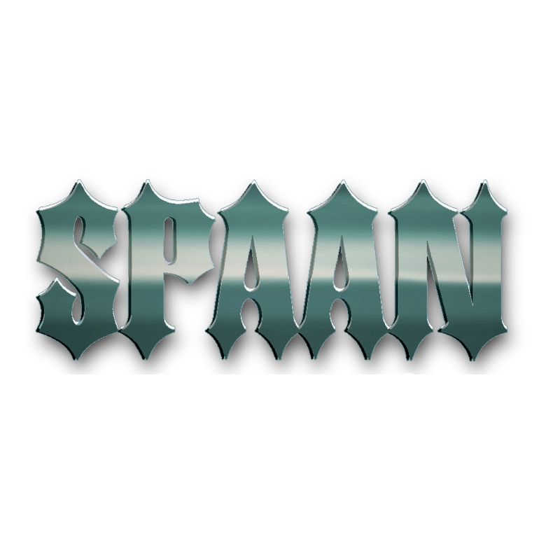 Logo Spaan Nine T Store